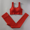 Conjunto Fitness Feminino | Liar