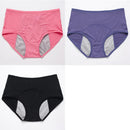 Calcinha cintura alta a prova de vazamentos - Everdries™